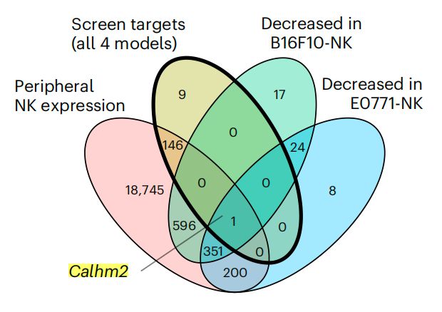 Nature子刊:陳斯迪葉露鵬團隊利用體內(nèi)AAV-睡美人CRISPR篩選技術(shù)發(fā)現(xiàn)NK細胞癌癥免疫治療新靶點(圖3)