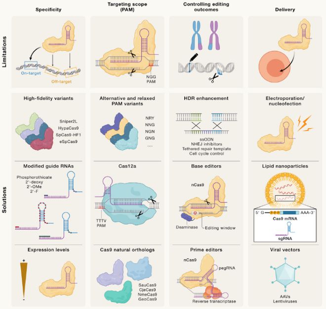 Cell｜CRISPR基因編輯技術的過去、現(xiàn)在和未來(圖3)